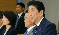 Japan bestimmt Termin für Senatswahlen